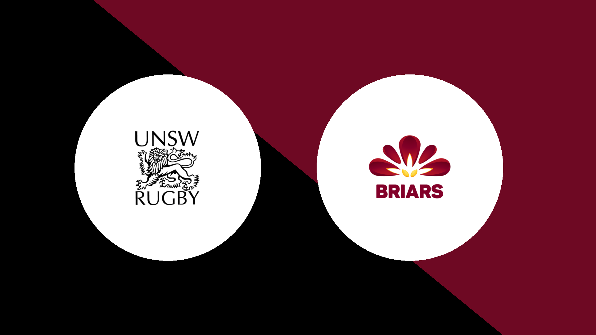 UNSW vs Briars