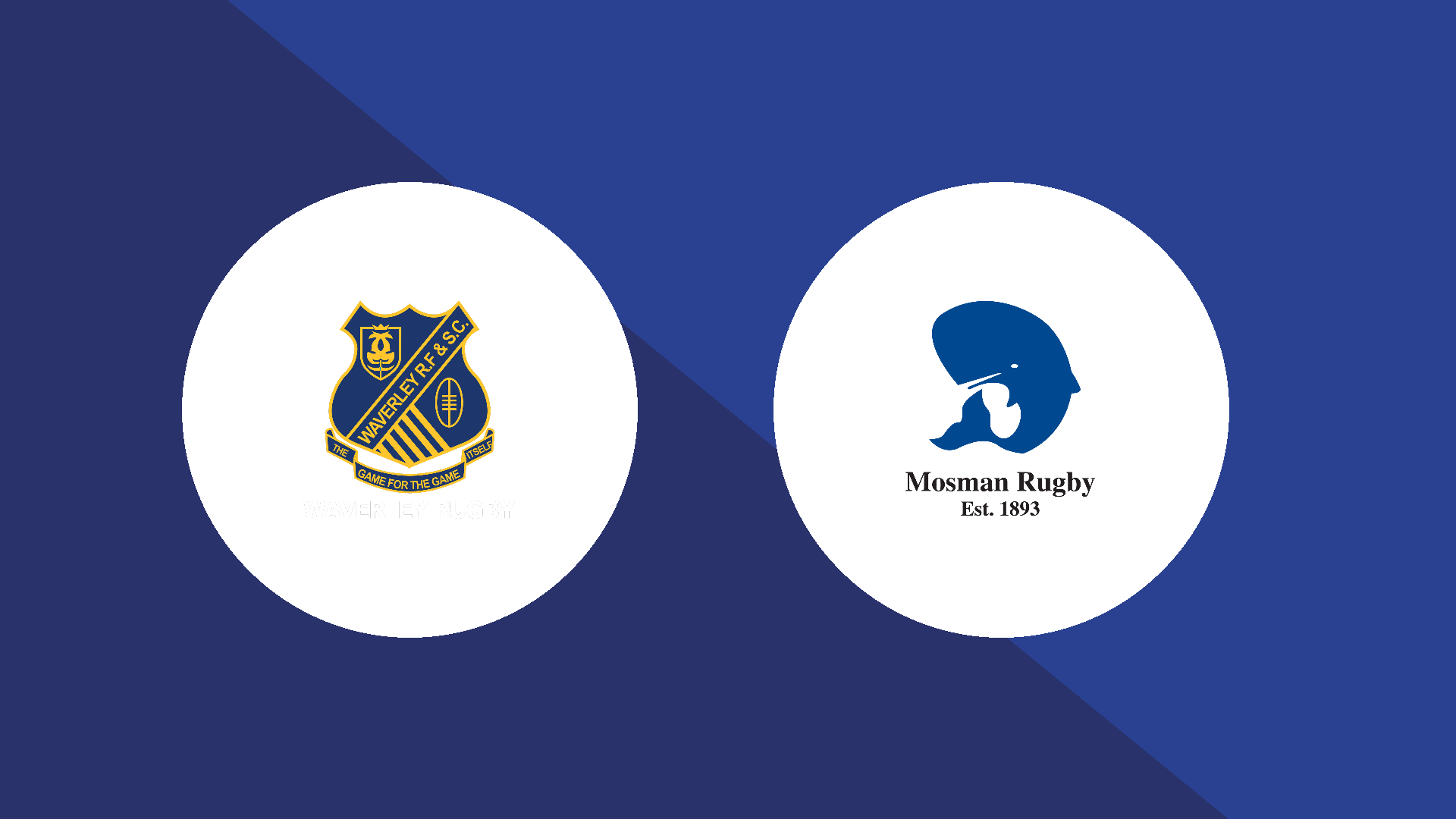 Waverley vs Mosman