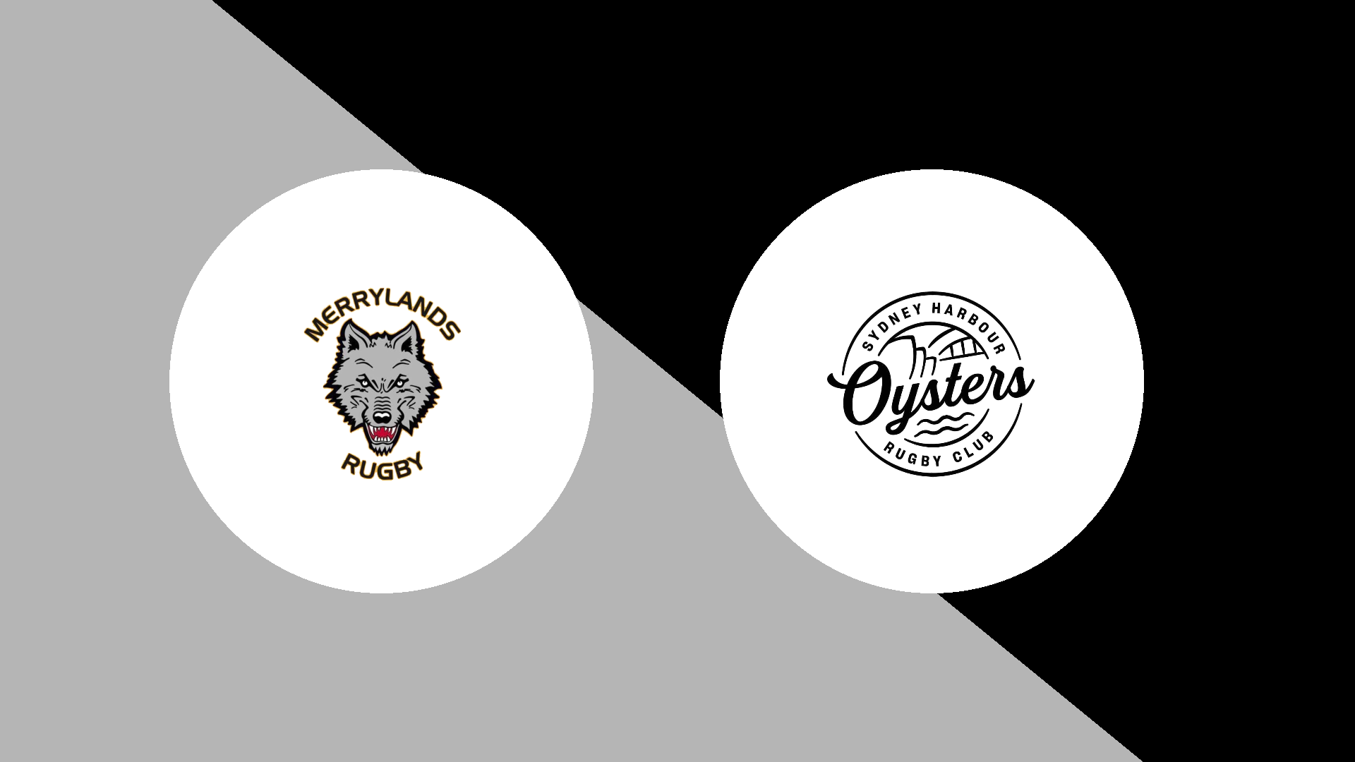 Merrylands vs Sydney Harbour