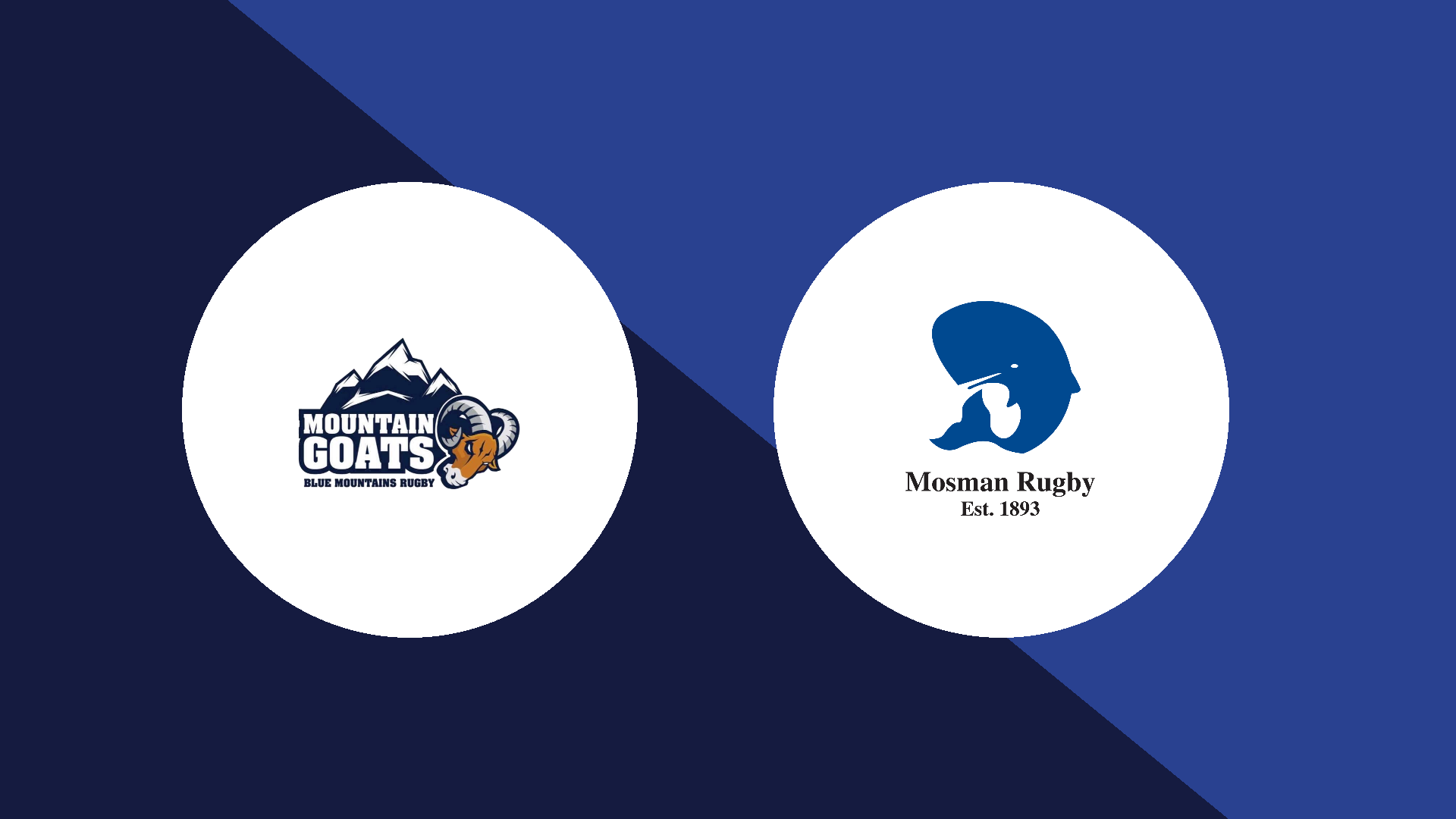 Blue Mountains vs Mosman