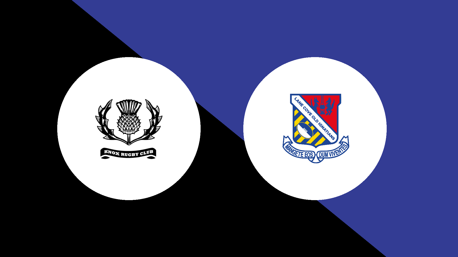 Knox vs Lane Cove Old Ignatians